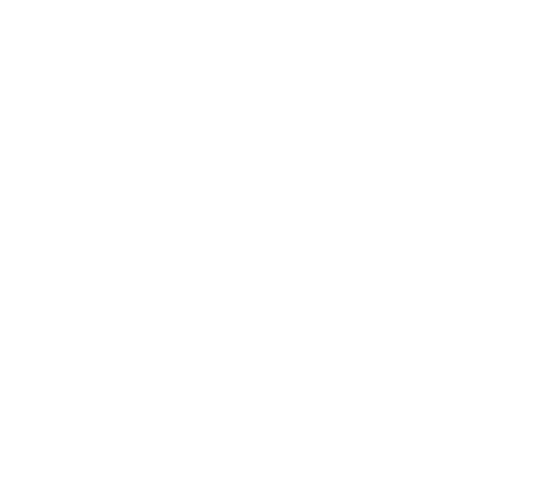 Macris Aeronautical falcon emblem